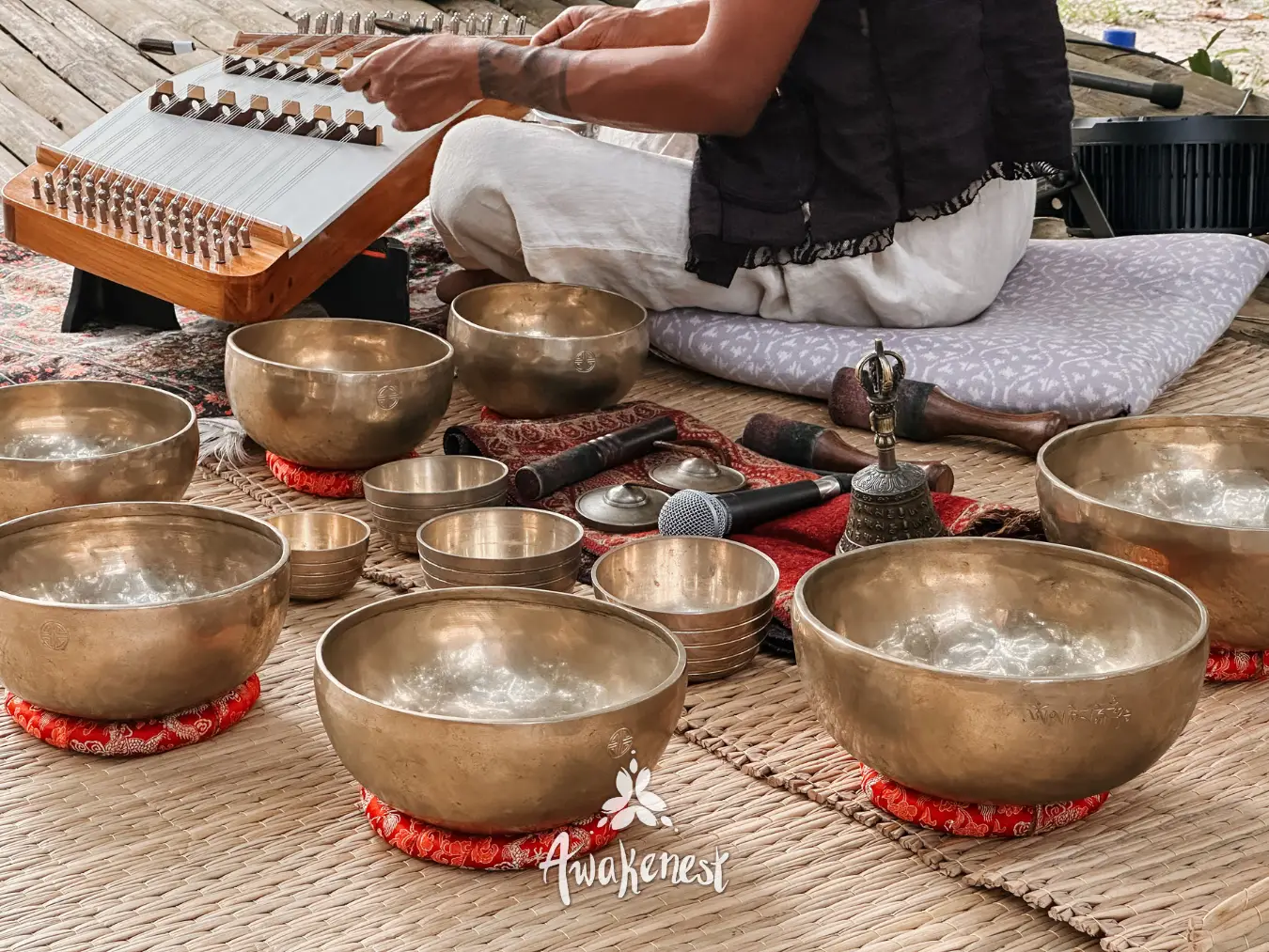 Hammered bronze singing bowls of several sizes set out on cushions, with a khim being played behind them.